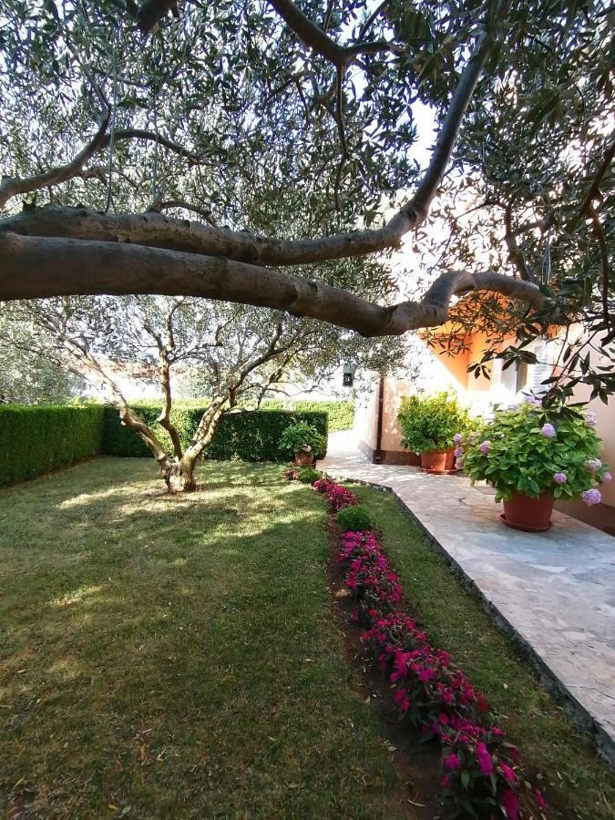 Kvasina Apartments Zadvarje Dış mekan fotoğraf
